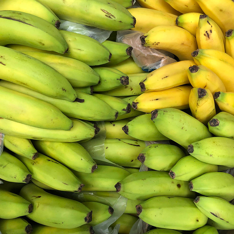 Banano-Uraba