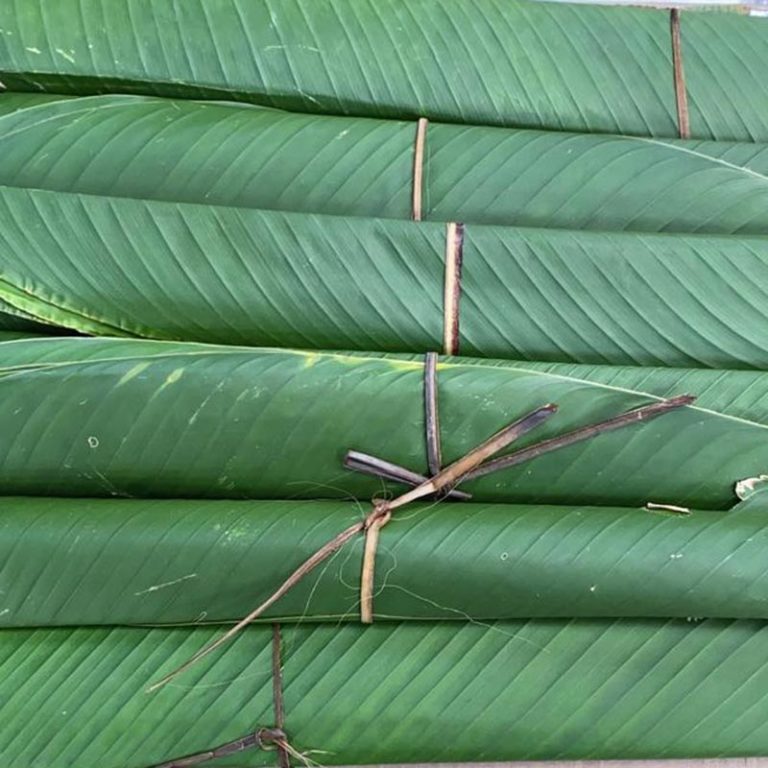 Hoja de bijao para tamales x 12 Domicilios de frutas y verduras