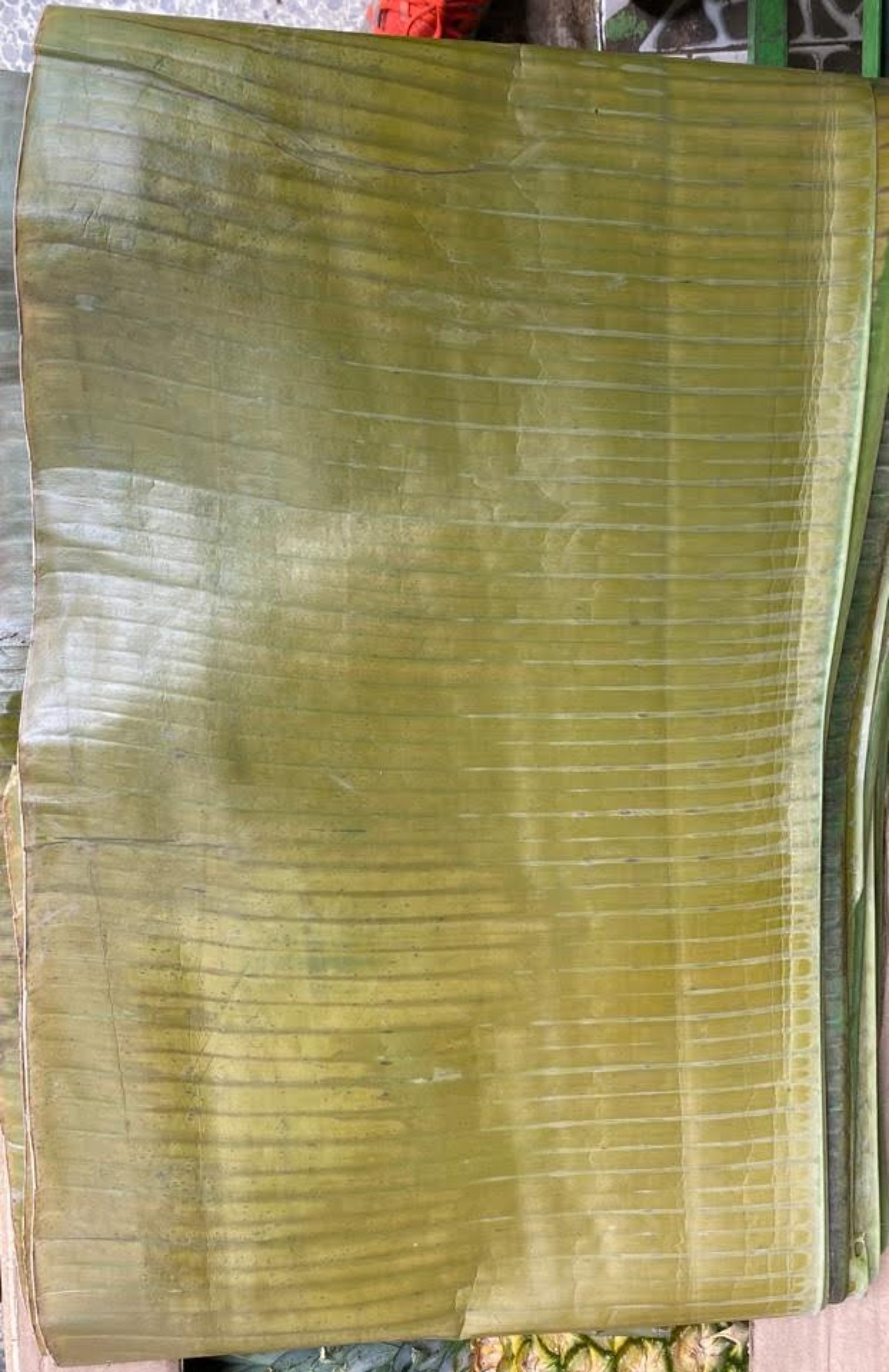 Hoja de plátano para hallaca Domicilios de frutas y verduras