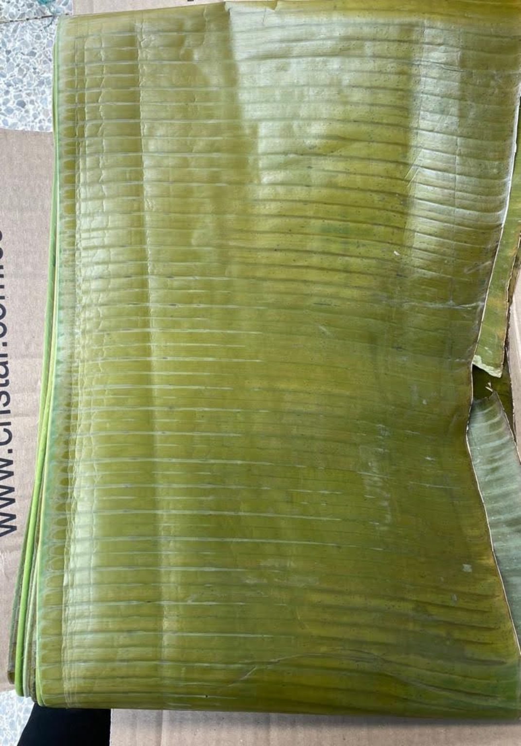 Hoja de plátano para hallaca Domicilios de frutas y verduras