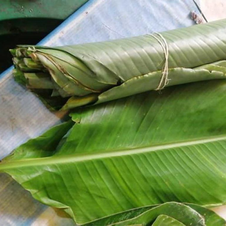 Hoja de bijao para tamales x 12 Domicilios de frutas y verduras