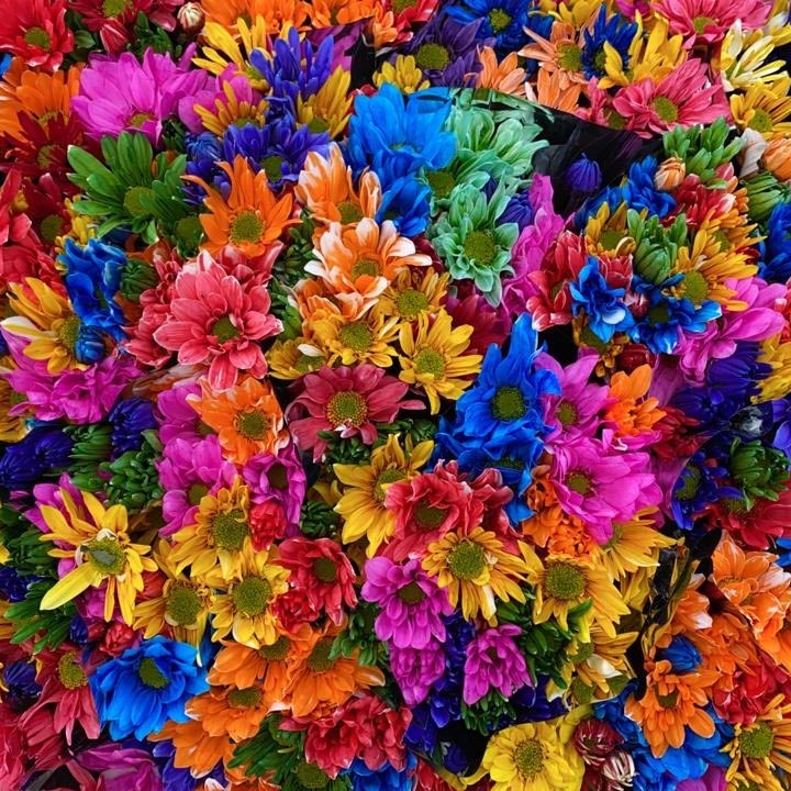 Details 48 flores de margaritas de colores