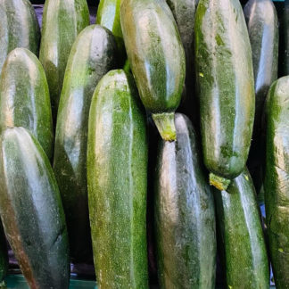 Zucchini-verde