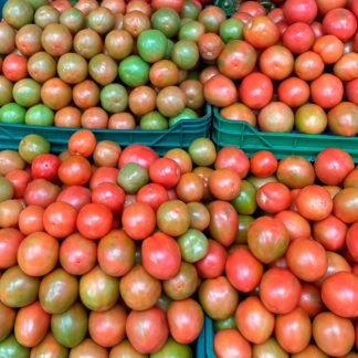 tomatoes-globe-paloquemao
