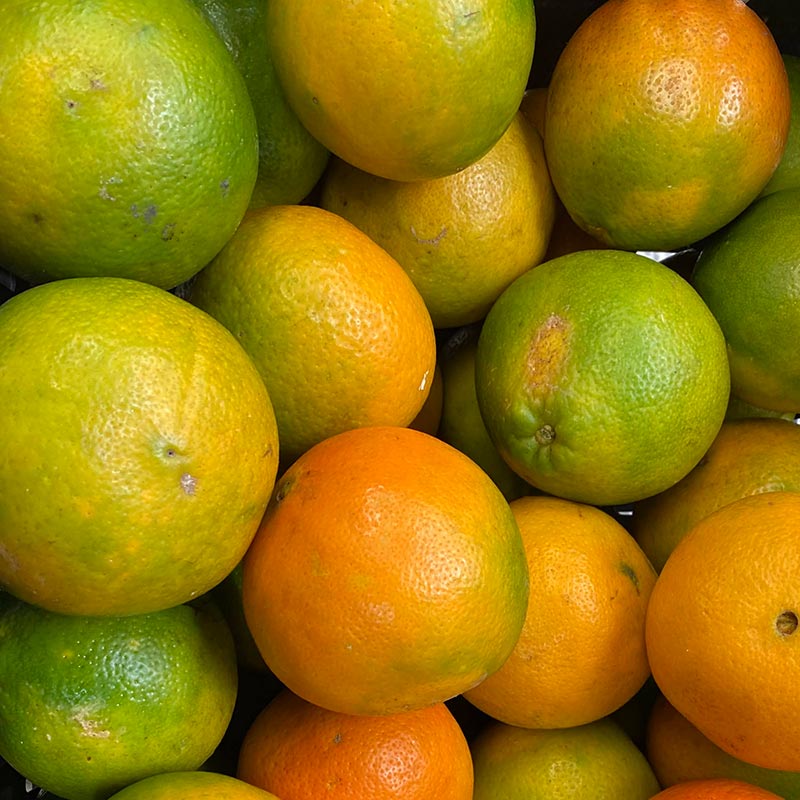 Naranja-Tangelo