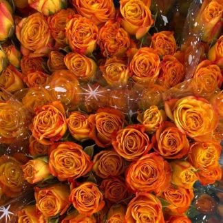 Rosas-mini-naranja