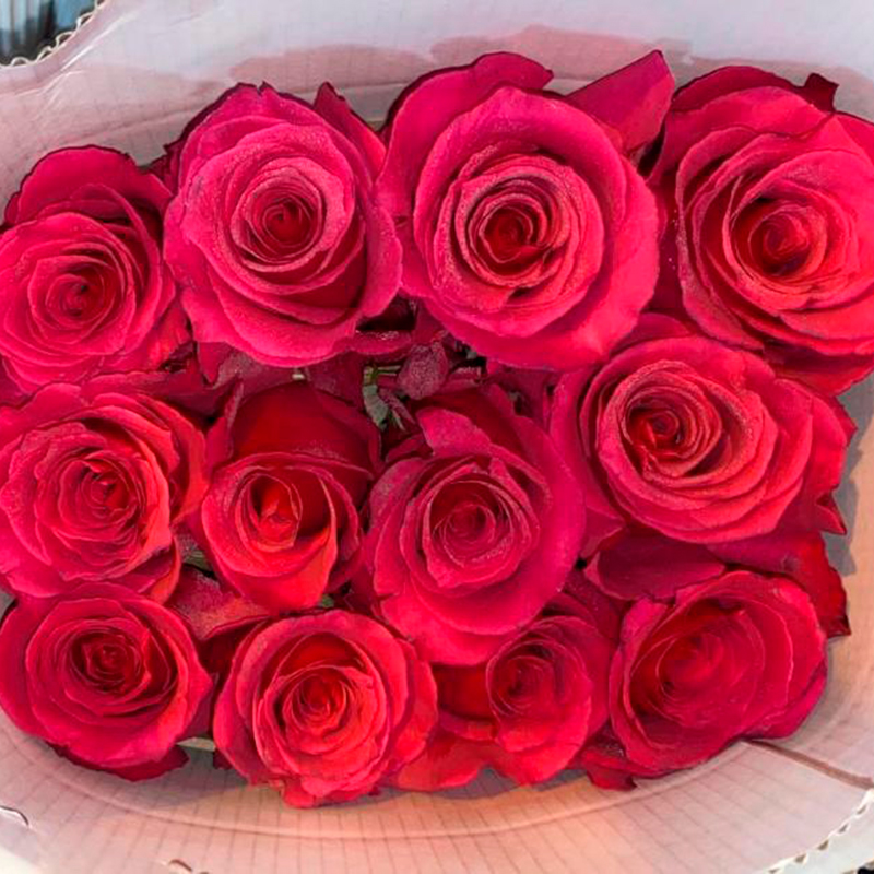 Rosas rosadas