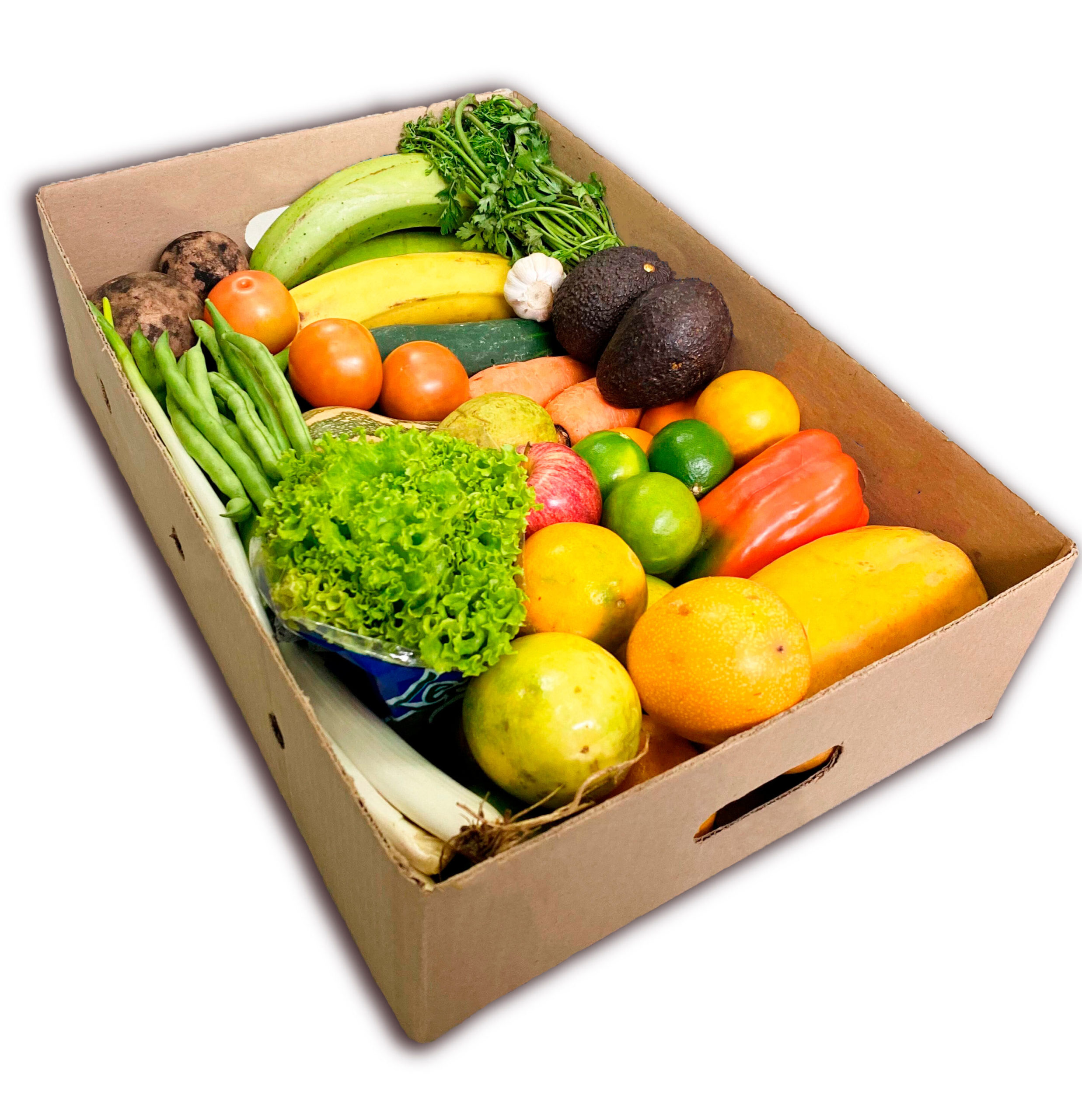 Canasta de frutas y verduras cosechadas