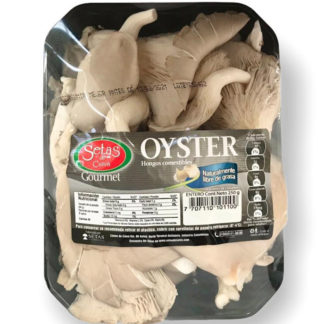 Champiñones Oyster